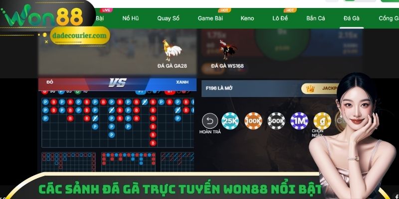 Đá Gà Trực Tuyến Won88 - Trải Nghiệm Xem Đá Gà Kịch Tính 2 Các sảnh đá gà trực tuyến Won88 nổi bật