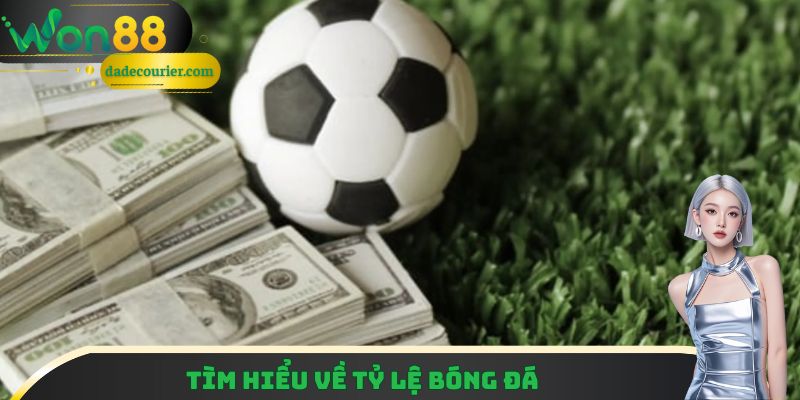 Giải nghĩa chính xác về tỷ lệ bóng đá