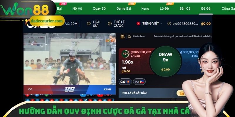 Đá Gà Trực Tuyến Won88 - Trải Nghiệm Xem Đá Gà Kịch Tính 3 Hướng dẫn quy định cược đá gà tại nhà cái