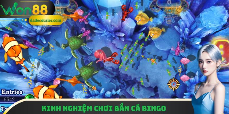 Kinh nghiệm chơi là thắng dành cho người mới