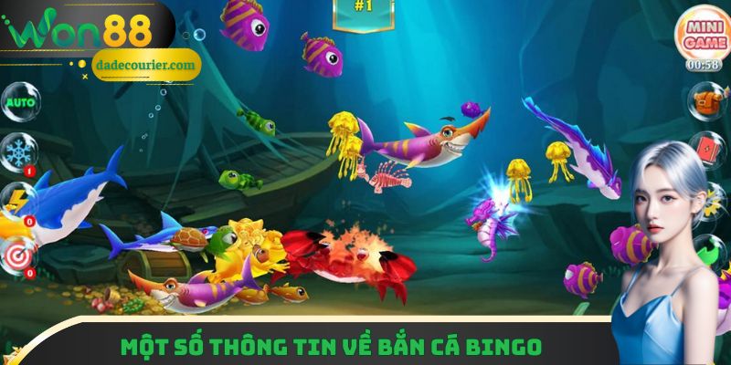 Một số thông tin liên quan đến bắn cá Bingo