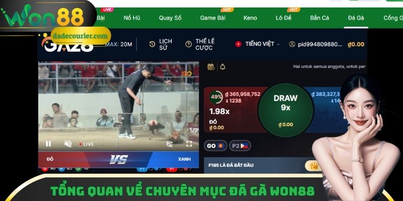 Đá Gà Trực Tuyến Won88 - Trải Nghiệm Xem Đá Gà Kịch Tính 1 Tổng quan về chuyên mục đá gà Won88